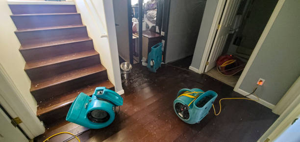 Best Fire Damage Restoration  in Des C, AR