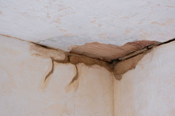 Best Flooded house restoration  in Des C, AR