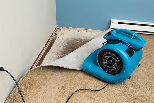 Best Ceiling water damage repair  in Des C, AR